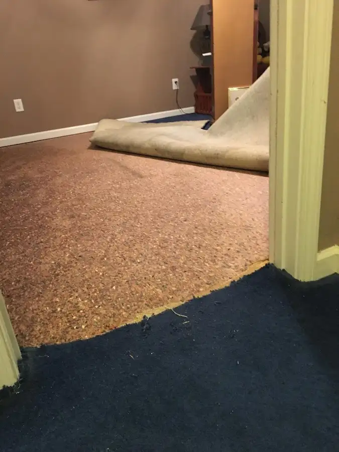 Carpet pad removal revealing water damage during Water Mitigation Services in River Forest