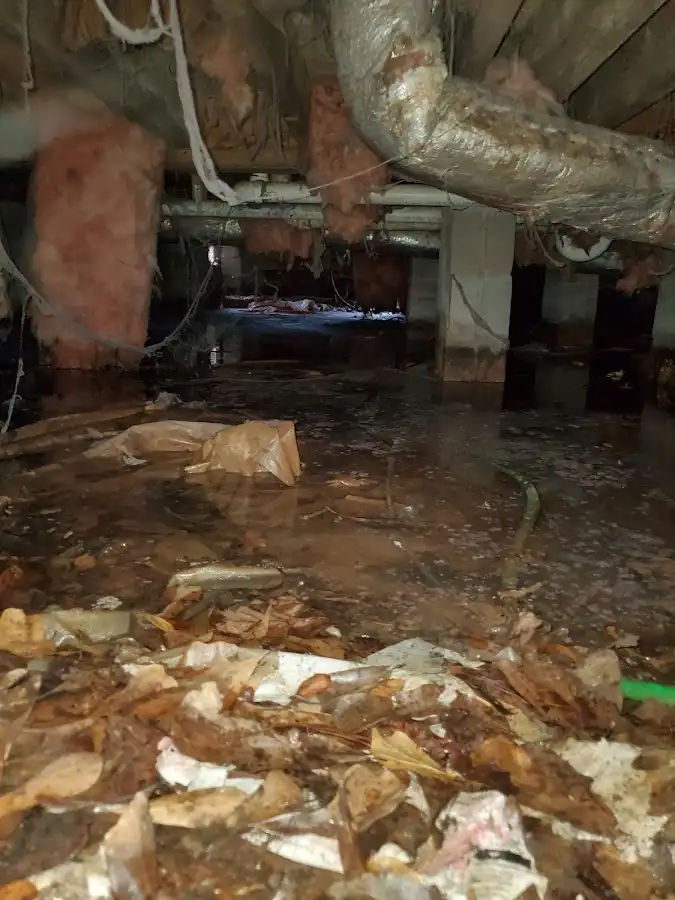 Crawl space flood assessment for Commercial Water Damage Restoration in River Forest