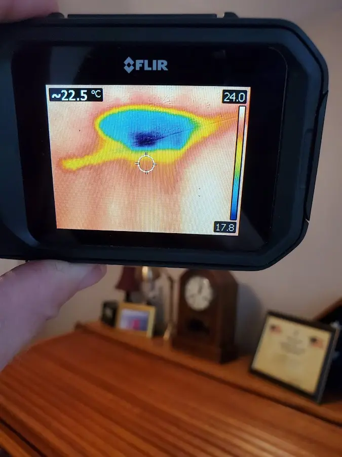 Thermal imaging inspection for water damage in River Forest